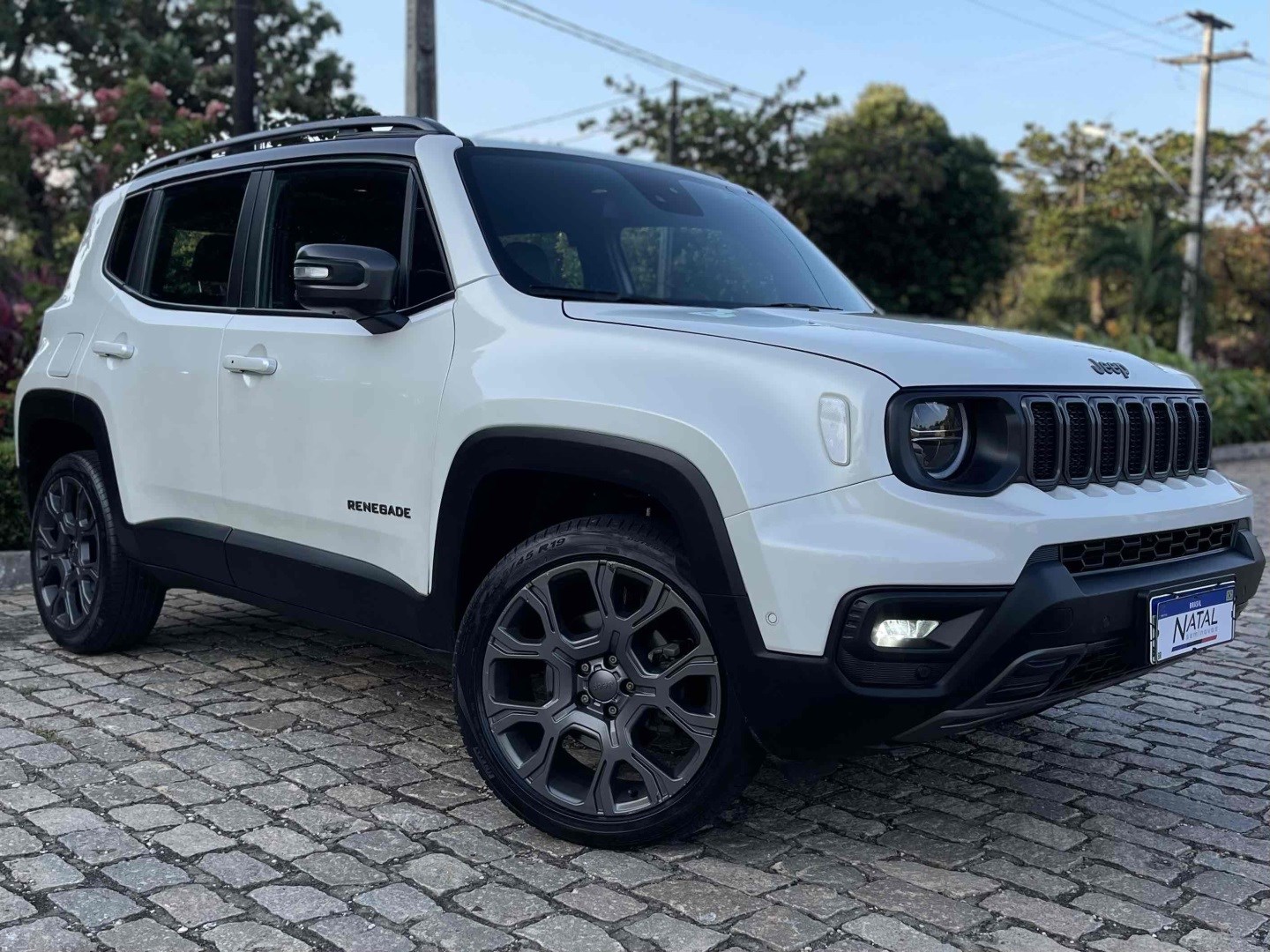 JEEP RENEGADE 1.3 T270 TURBO FLEX S 4X4 AT9