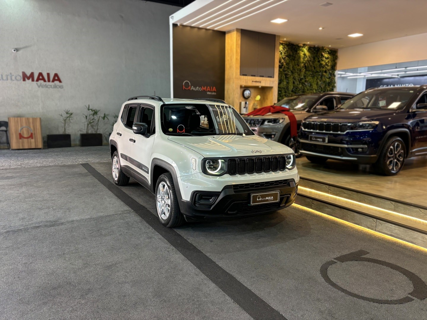JEEP RENEGADE 1.3 T270 TURBO FLEX SPORT AT6