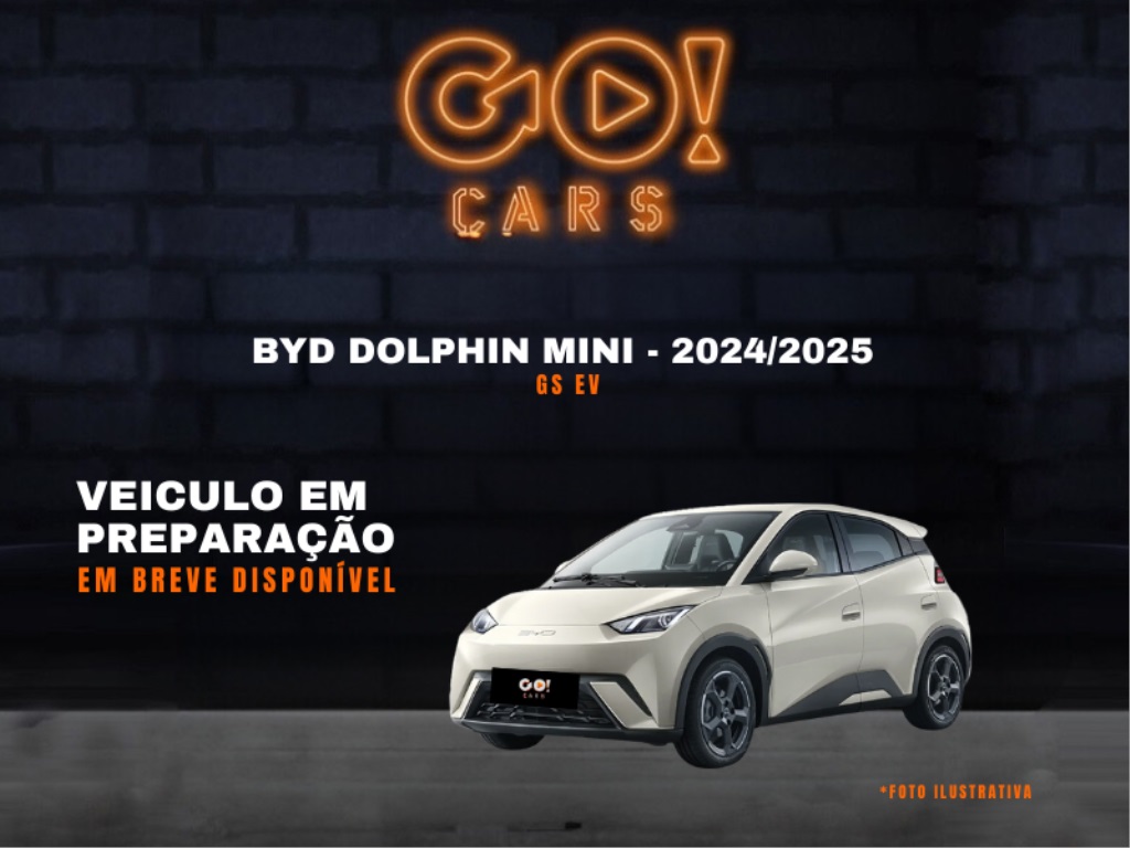 BYD DOLPHIN MINI GS EV 2024/2025