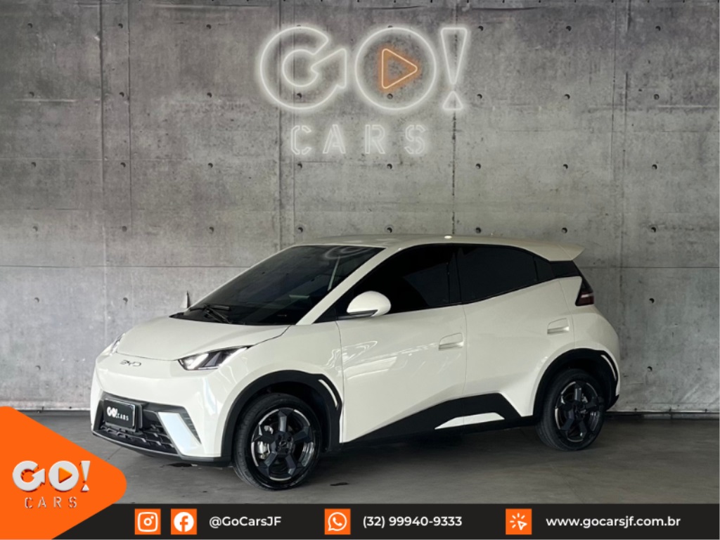 BYD DOLPHIN MINI GS EV 2024/2025