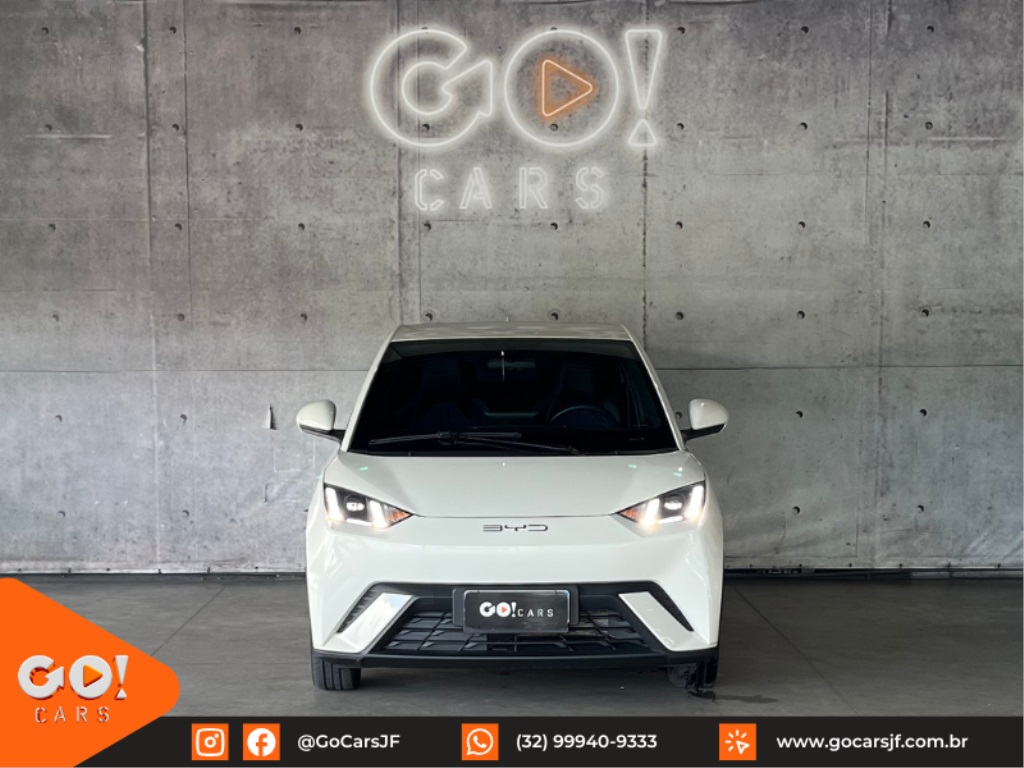 BYD DOLPHIN MINI GS EV 2025