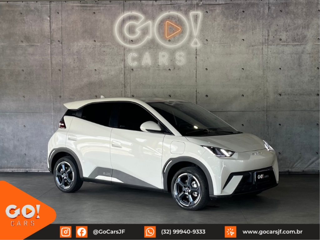 BYD DOLPHIN MINI GS EV 2025