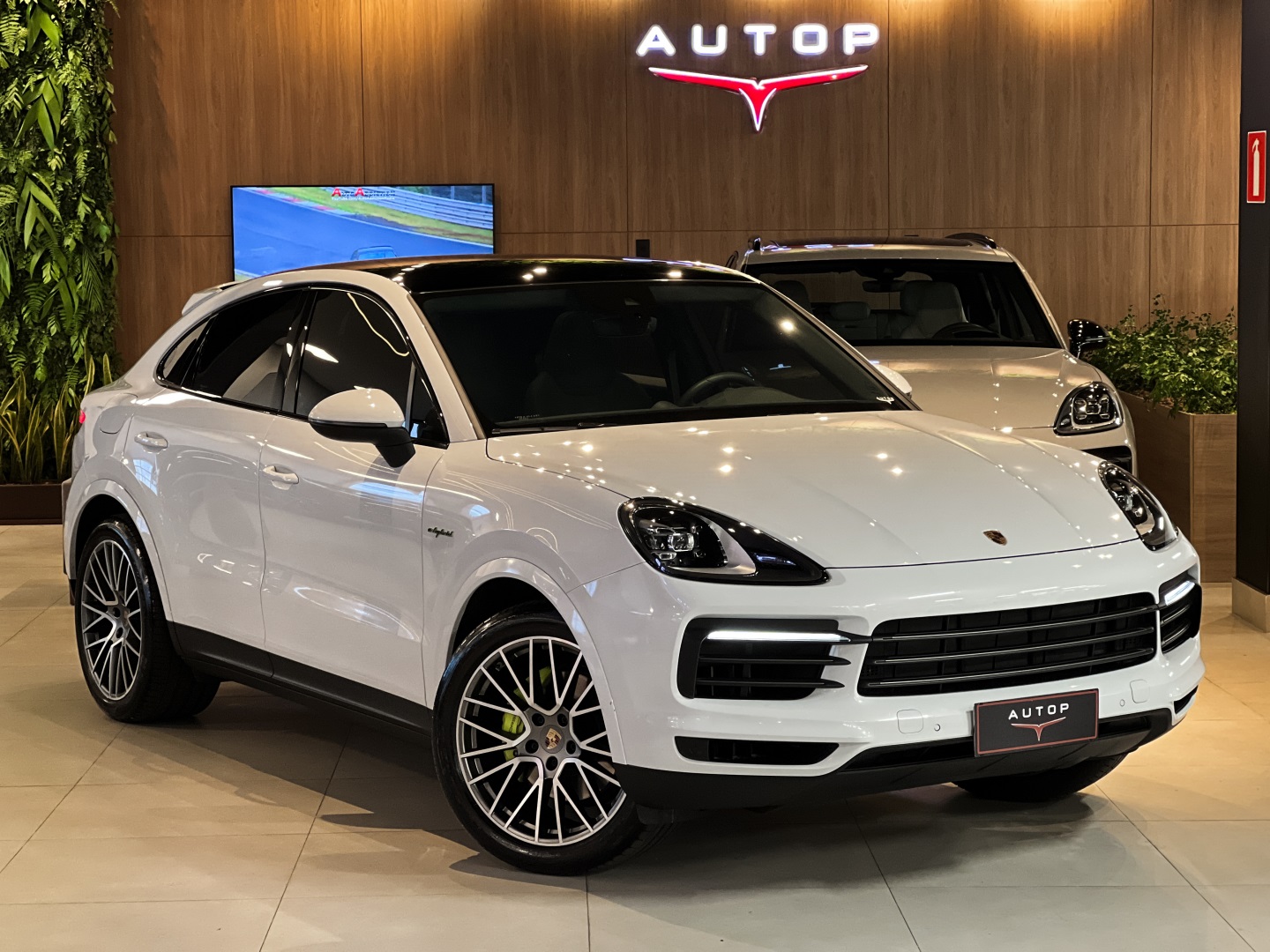 PORSCHE CAYENNE 3.0 V6 E-HYBRID COUPÉ PLATINUM EDITION AWD TIPTRONIC S