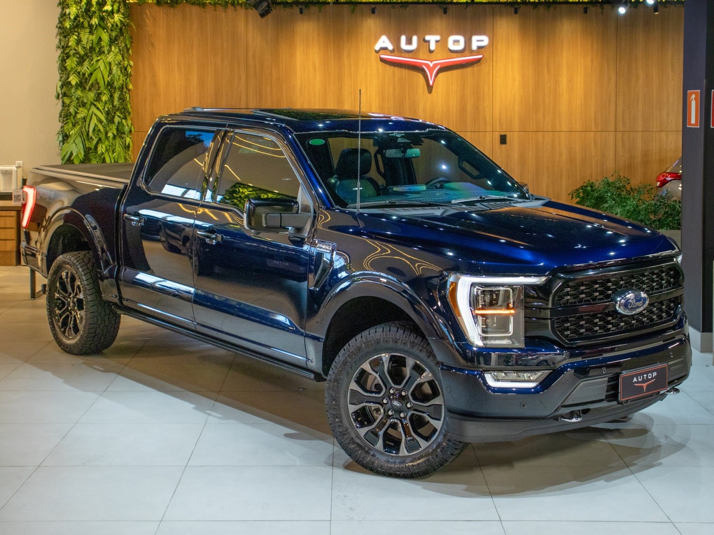 FORD F-150 5.0 V8 GASOLINA CD PLATINUM FX4 AUTOMÁTICO