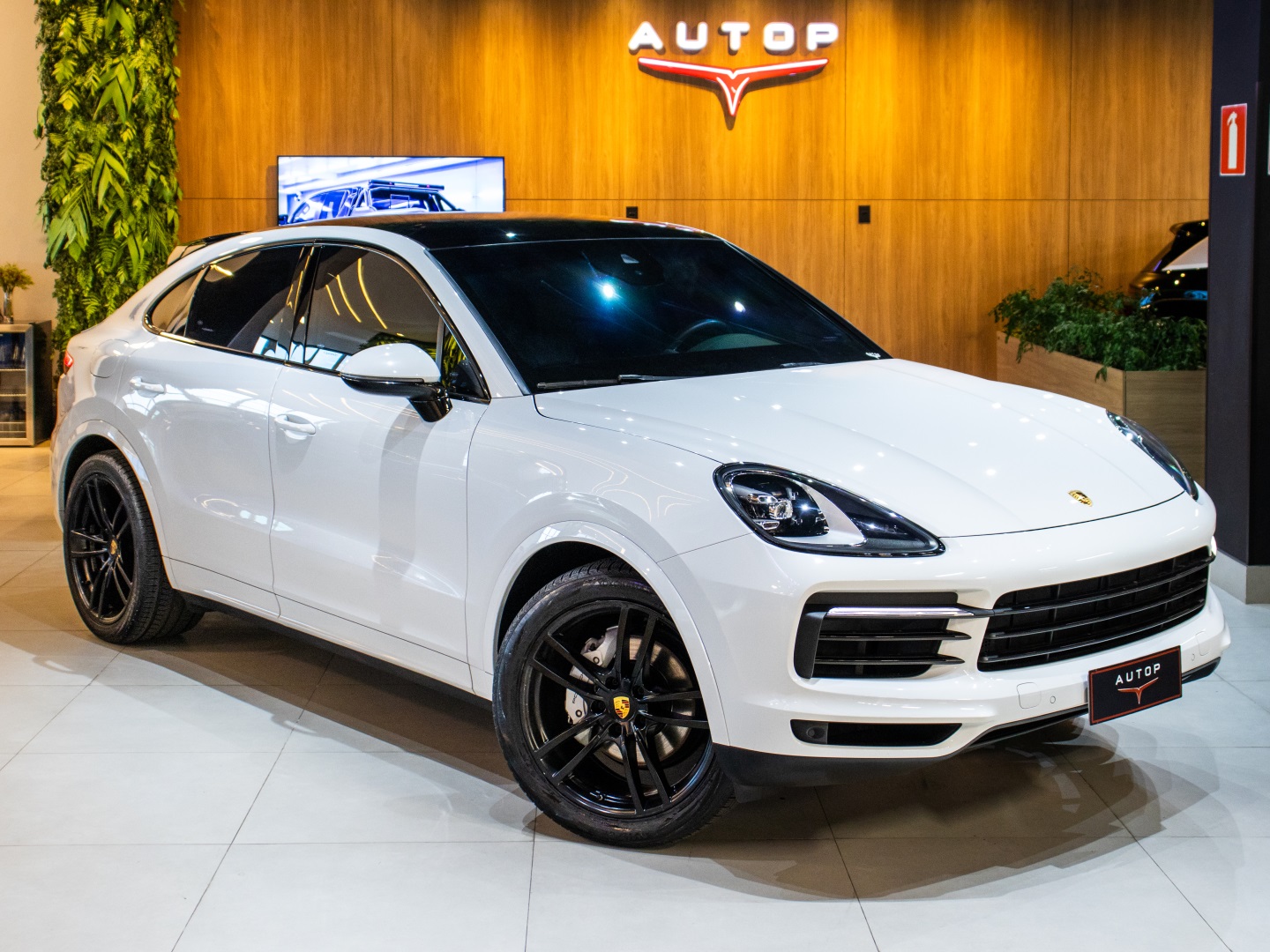 PORSCHE CAYENNE 3.0 V6 GASOLINA COUPÉ AWD TIPTRONIC S