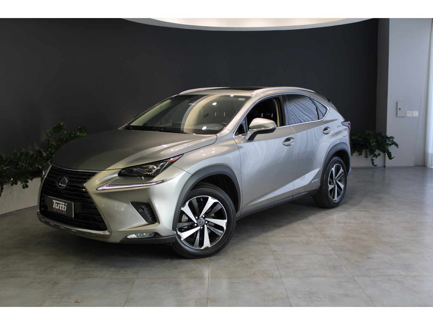 Lexus NX 300h 2021