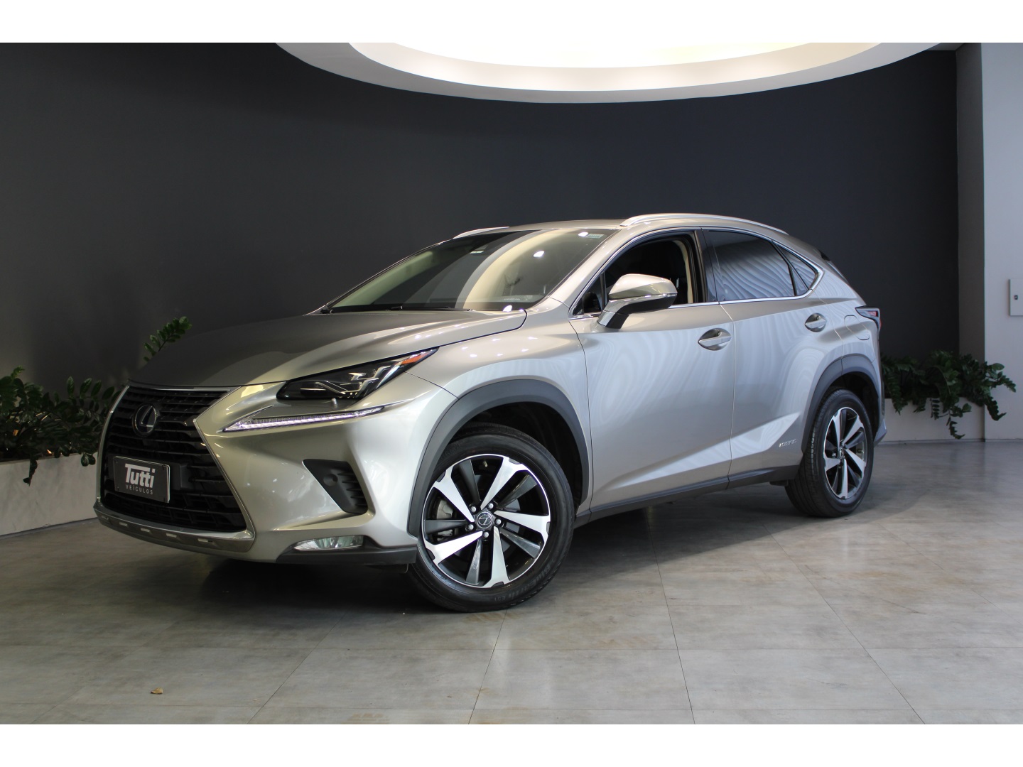Lexus NX 300h 2021