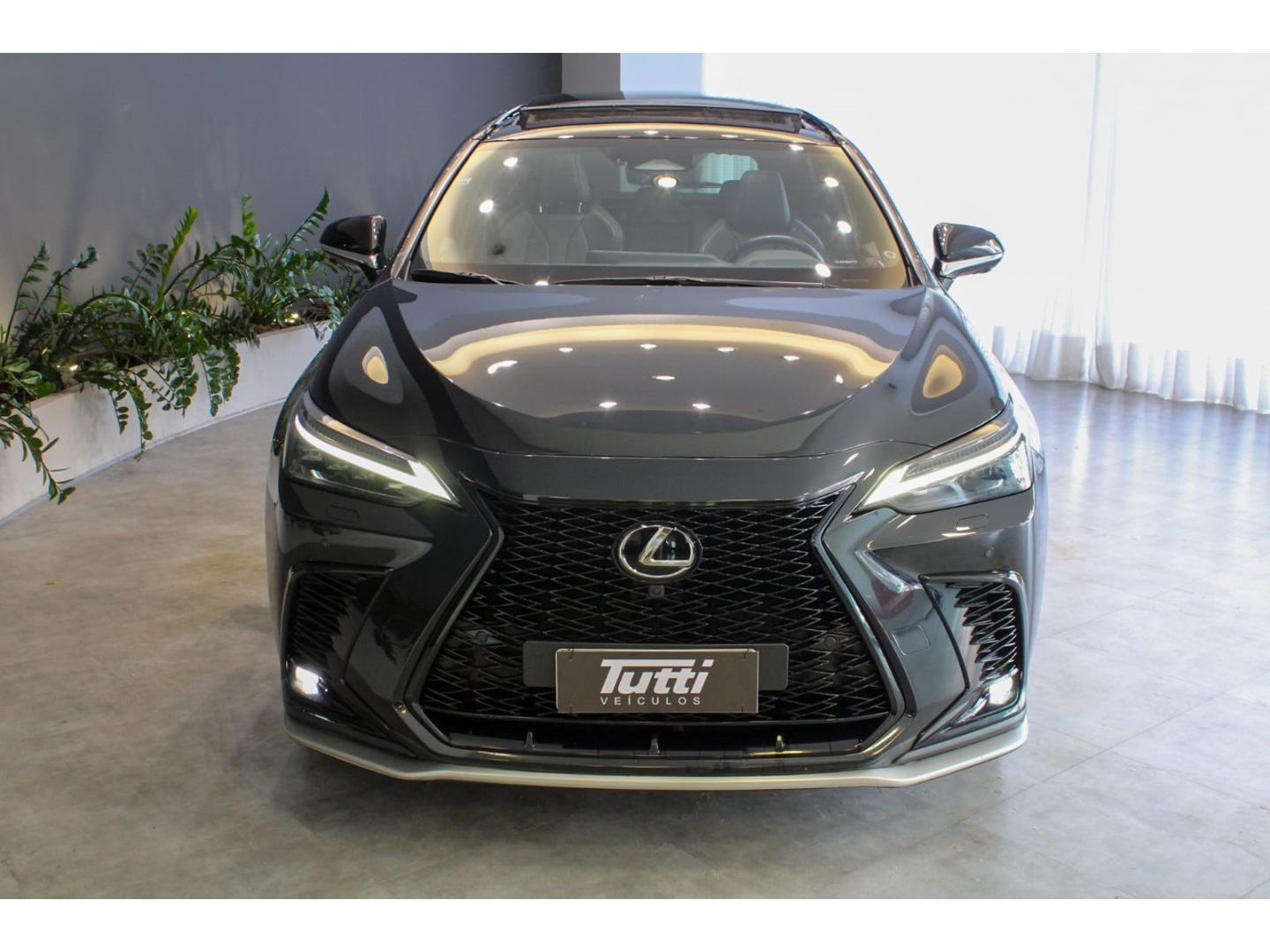 Lexus NX 350h 2023