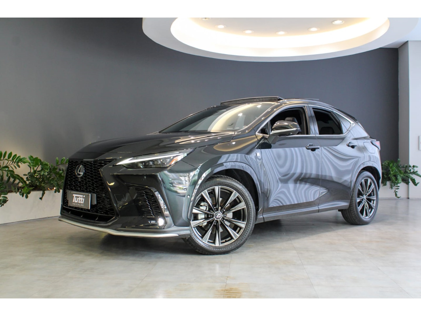 Lexus NX 350h 2023