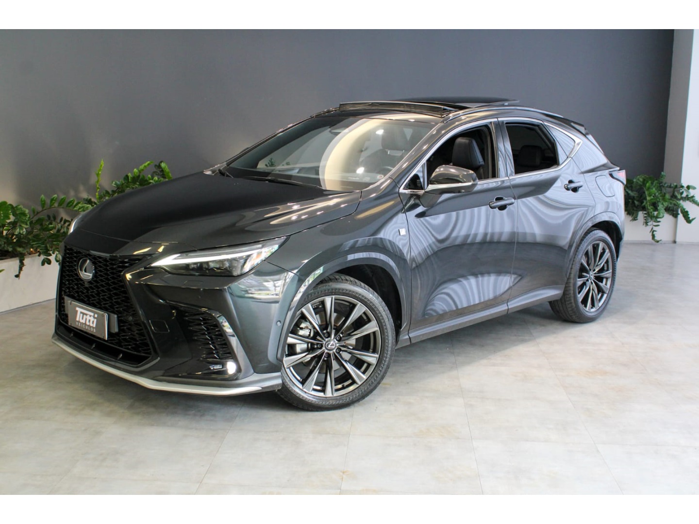 Lexus NX 350h 2023