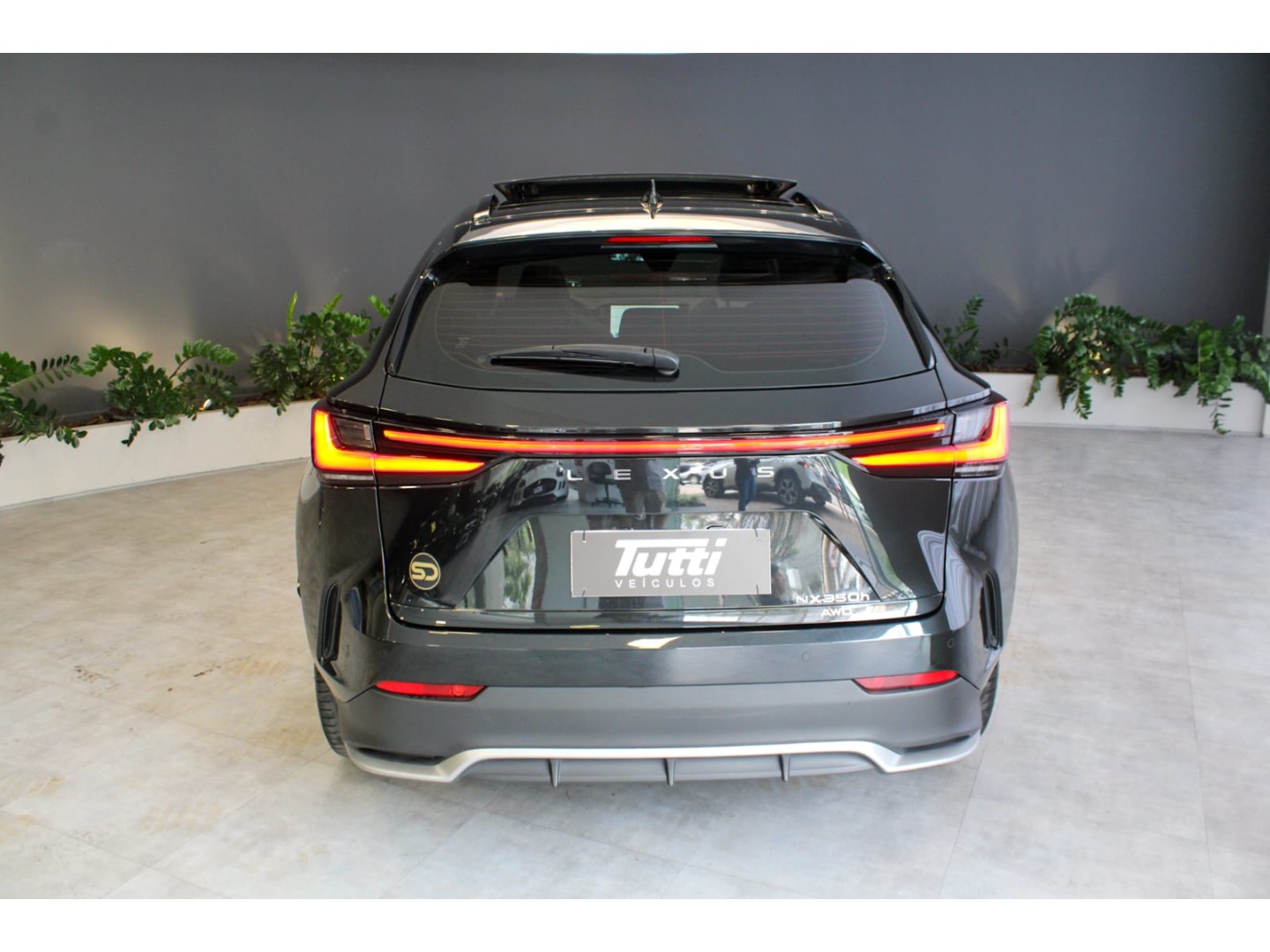 Lexus NX 350h 2023