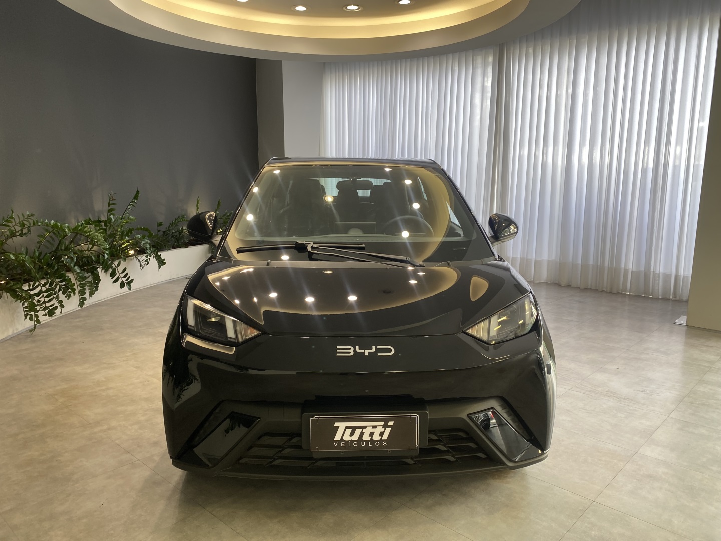 BYD DOLPHIN MINI 2025
