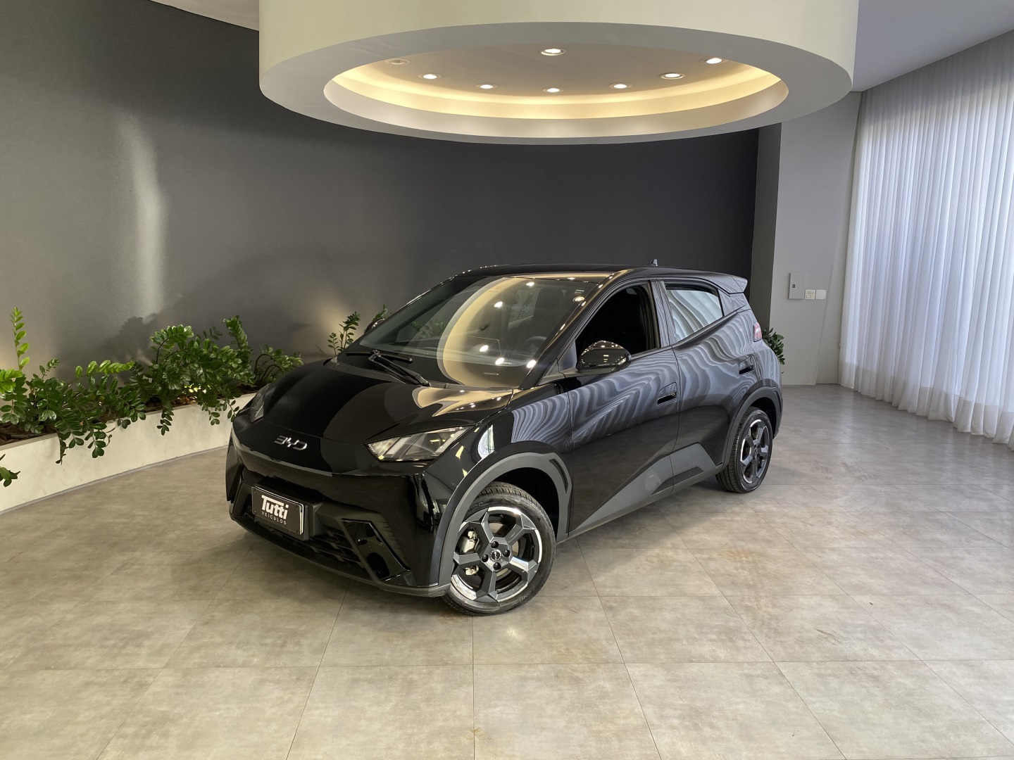 BYD DOLPHIN MINI 2025