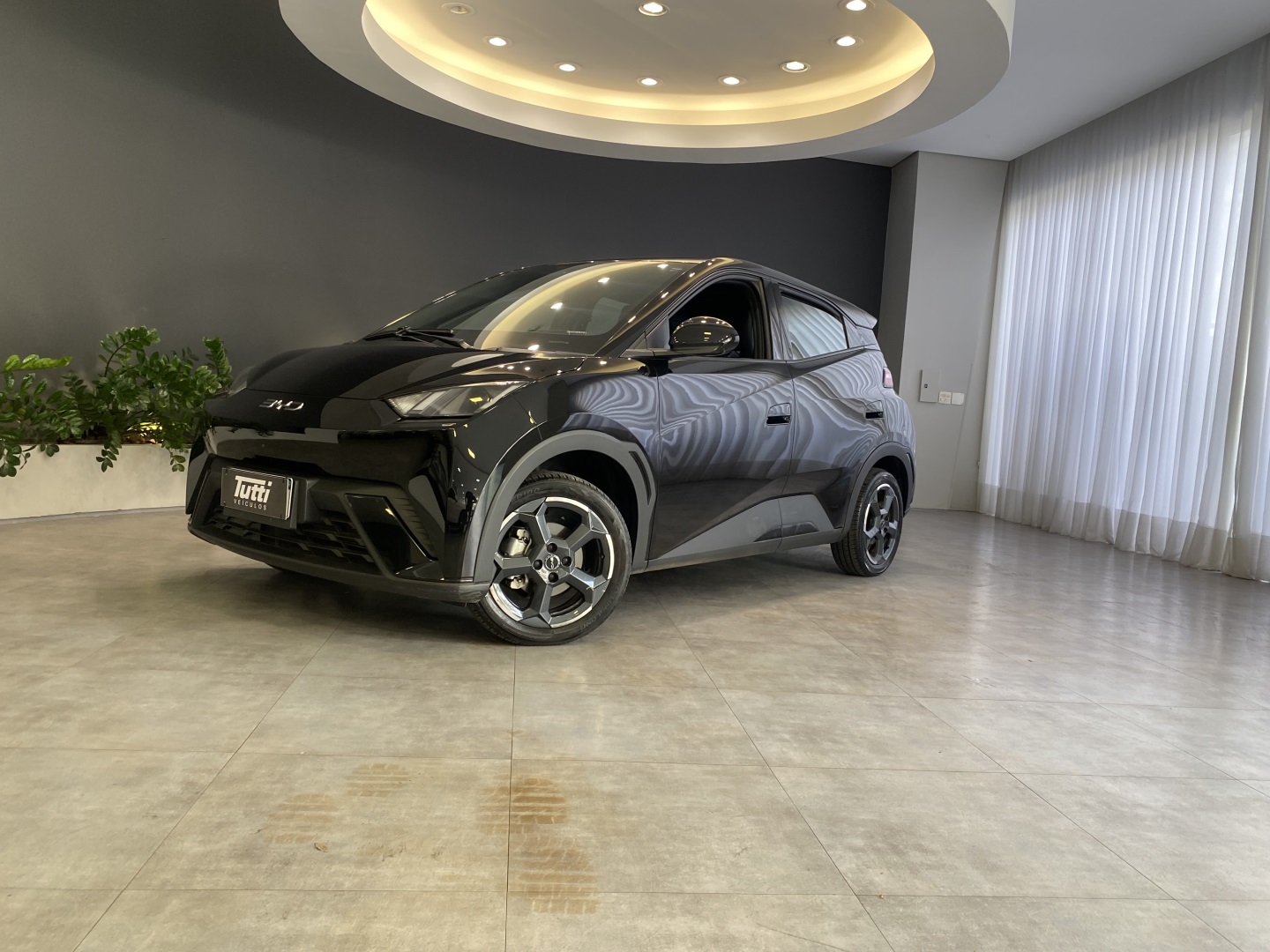 BYD DOLPHIN MINI 2025