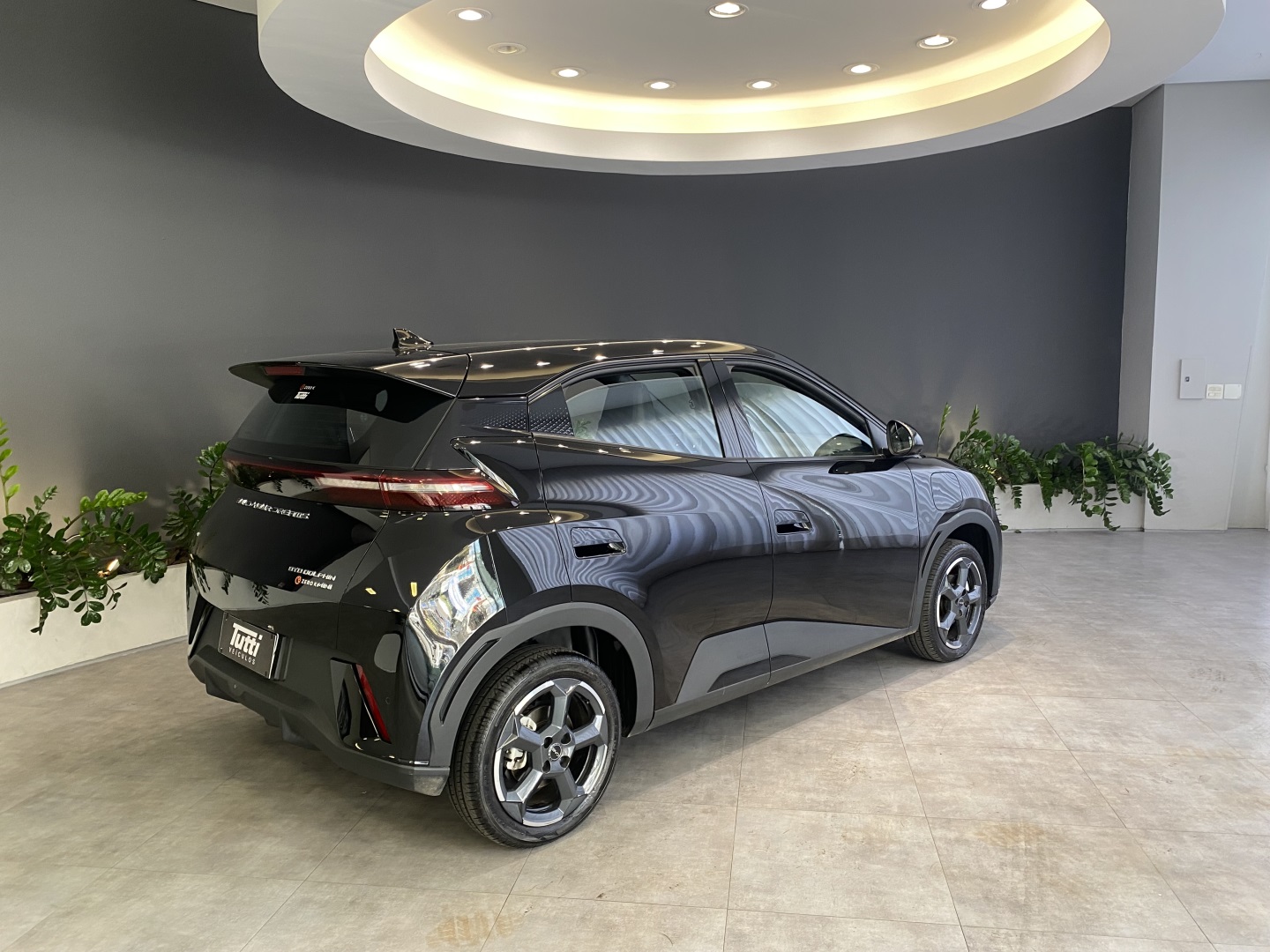BYD DOLPHIN MINI 2025