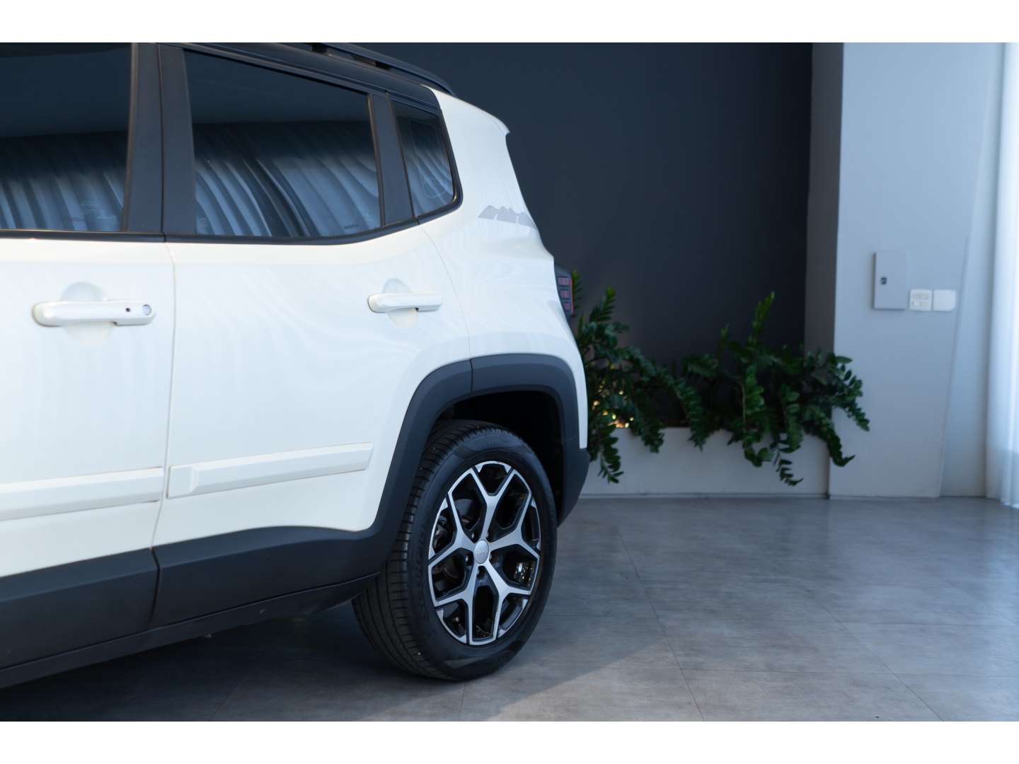 Jeep RENEGADE 2025