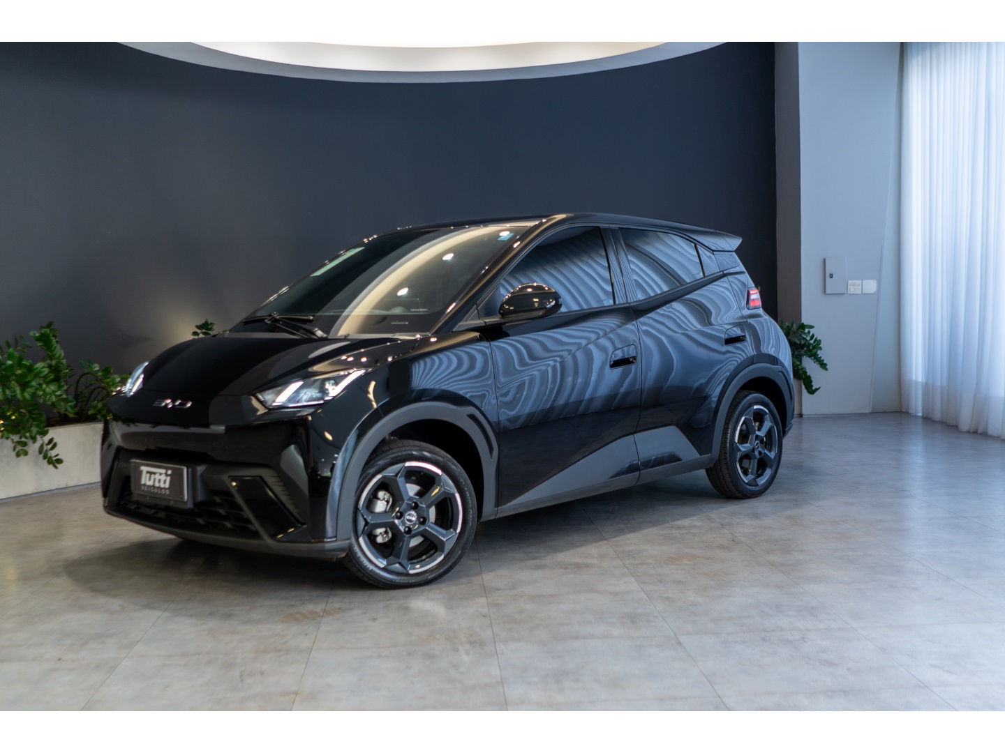 BYD DOLPHIN MINI 2024
