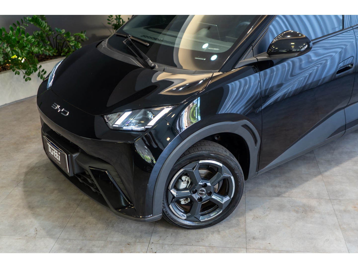 BYD DOLPHIN MINI 2024