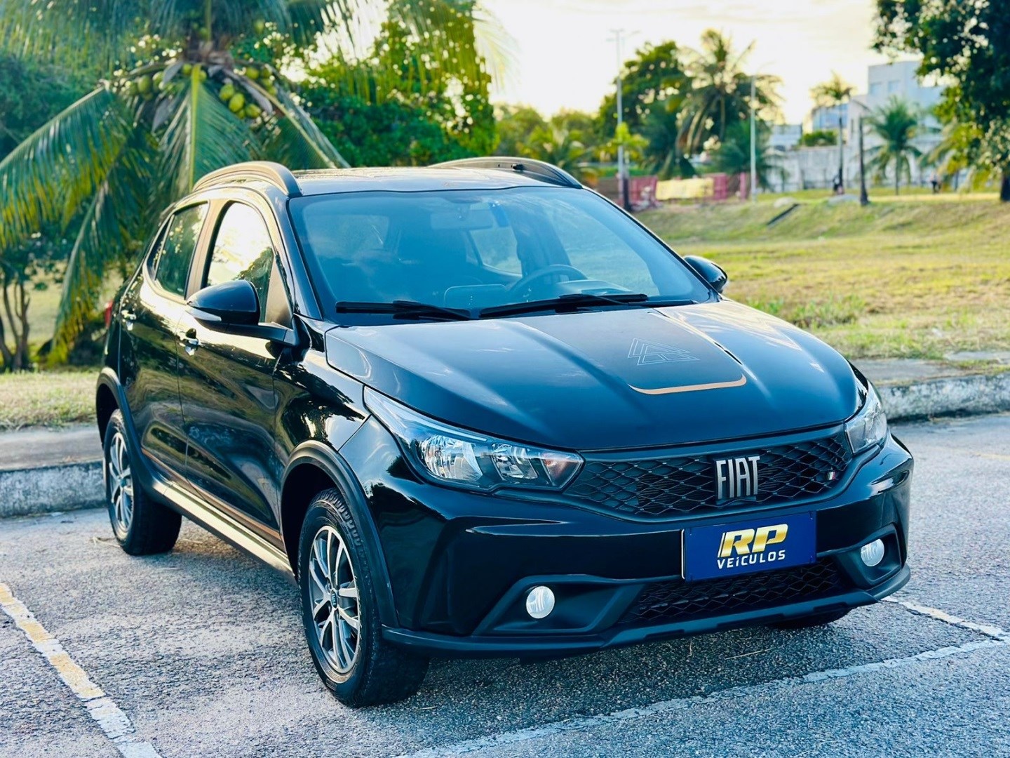 FIAT ARGO 1.3 FIREFLY FLEX TREKKING MANUAL